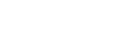 Security Logo Blue Banner